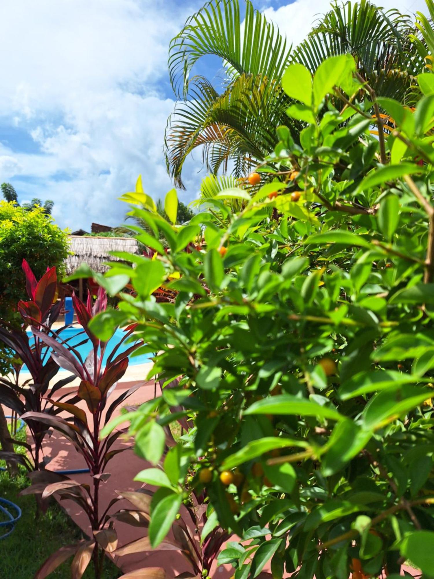 Pousada Brasil São Miguel do Gostoso Exterior foto